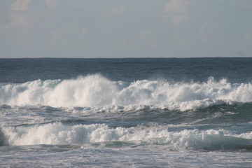 UN DÍA EN LA PLAYA