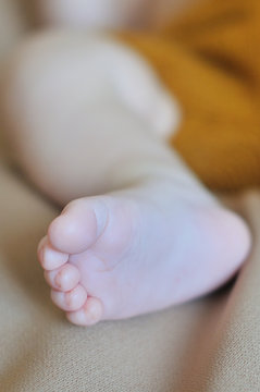 Picture of newborn baby feet