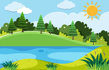 Fototapeta premium Pine trees and the lake at day time