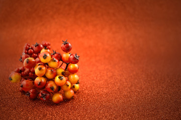Red orange Berries stock images. Red fruit decoration. Red Berry Branche on a orange background. Autumn background. Seasonal decorations images