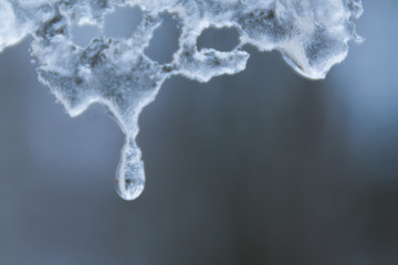 Naklejka na ściany i meble drop of water dropping from icicles