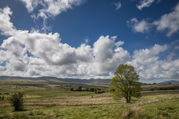 Die liebliche Landschaft von Snowdonia
