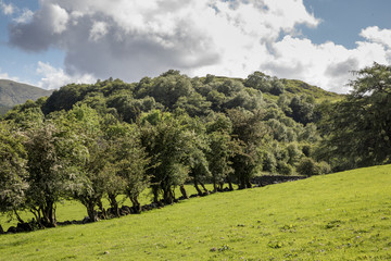 Liebliche Landschaft - Nord Wales