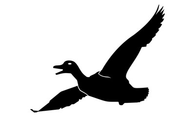 vector image of flying duck