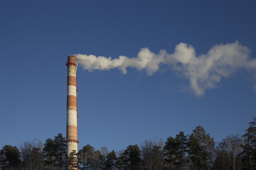 Smoke pipe CHP against the blue sky, the tops of trees are visible