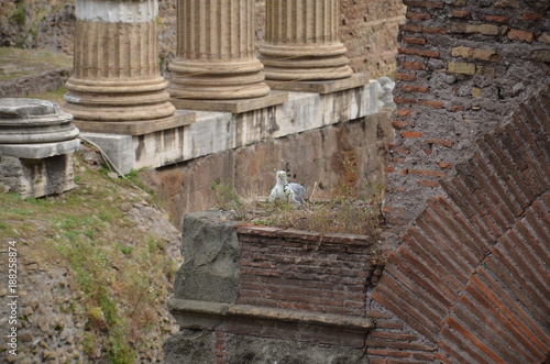 Stone Ancient Steps Stairs Architecture Staircase
