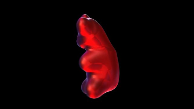 Seamless animation of a dancing red gummy bear isolated with alpha channel.