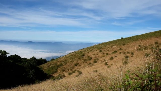 Chiangmai,Thailand-December 26,2017, Kew Mae Pan Nature Trail, Chiangmai, Thailand
