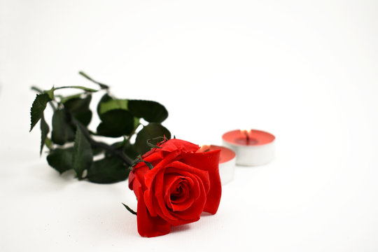 Red rose with candle stock images. Red candle with red roses. Romantic roses on a white background
