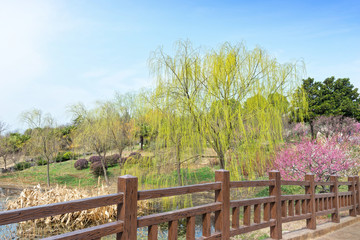 Park in early spring. Located in Nanjing, Jiangsu, China.