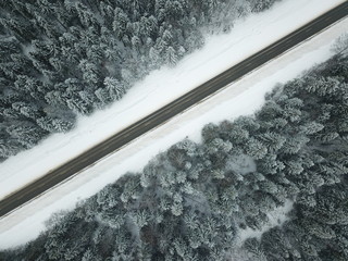 Winter road aerial view surrounded by snowy trees