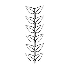 leaves with stem icon image vector illustration design  black sk