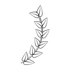 leaves with stem icon image vector illustration design  black sk