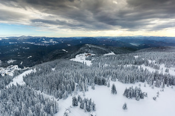 Amazing winter landscape of Rhodope Mountains near pamporovo resort, Smolyan Region, Bulgaria