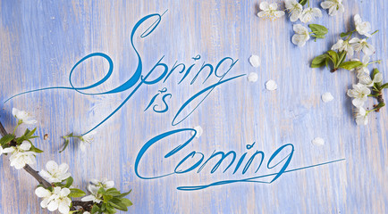 Fototapeta na wymiar Spring is coming text , spring blossom twigs with bokehlighting on blue turquoise background, top view, border. Springtime concept