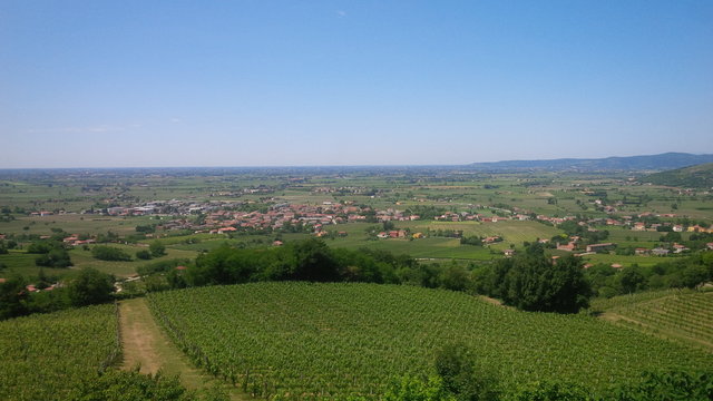 coltivazione sui colli Euganei