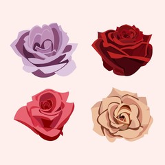  set of roses