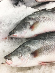 Frozen sea fish in supermarket