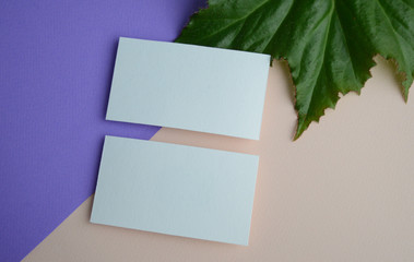 Mockup for a two-sided business card on a begonia leaf	