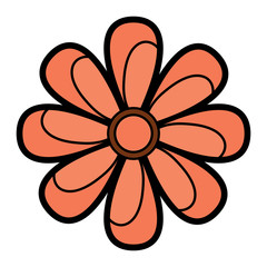 flower natural petal decoration image vector illustration  