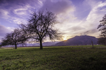 Fototapeta premium Sonnenuntergang auf dem Land