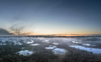 Sunrise on bog