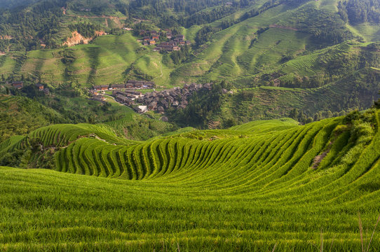 Beautiful view of the Dazhai village and the surrounding Longsheng Rice Terraces in the province of Guangxi in China; Concept for travel in China