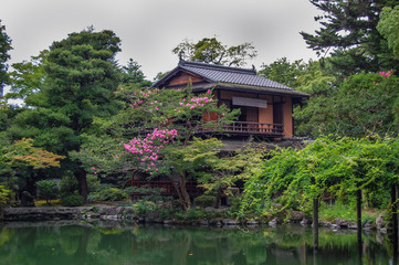 Japanese garden: green plants, a pond and a traditional building - 188270627