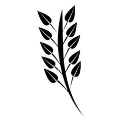 leaves with stem icon image vector illustration design  black and white