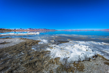 Landscape of the Polques Hot Springs in Eduardo Avaroa National Park, Bolivia