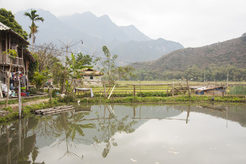 Fototapeta premium Village in the mountains of Vietnam