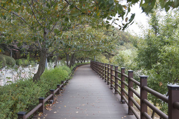 A path way in Korea park