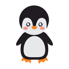 penguin cute animal icon image vector illustration design 
