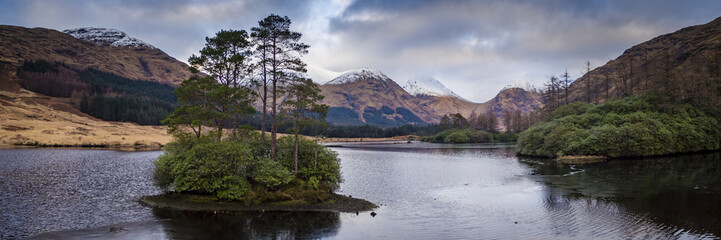 landscape view of scotland and trees growing in a loch in scotland