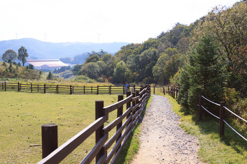 Fototapeta na wymiar A walkway in the farm, Korea.
