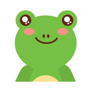 cute portrait frog animal baby s vector illustration