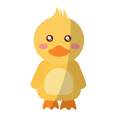 cute animal duck standing cartoon wildlife vector illustration