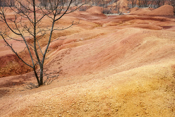 Amazing shapesand colors near an old abandoned bauxite mine in Hungary