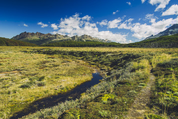 Wild Patagonia in the trekking path near the emerald lagoon,Ushuaia, Tierra del Fuego, Argentina.