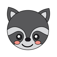 raccoon cute animal icon image vector illustration design 