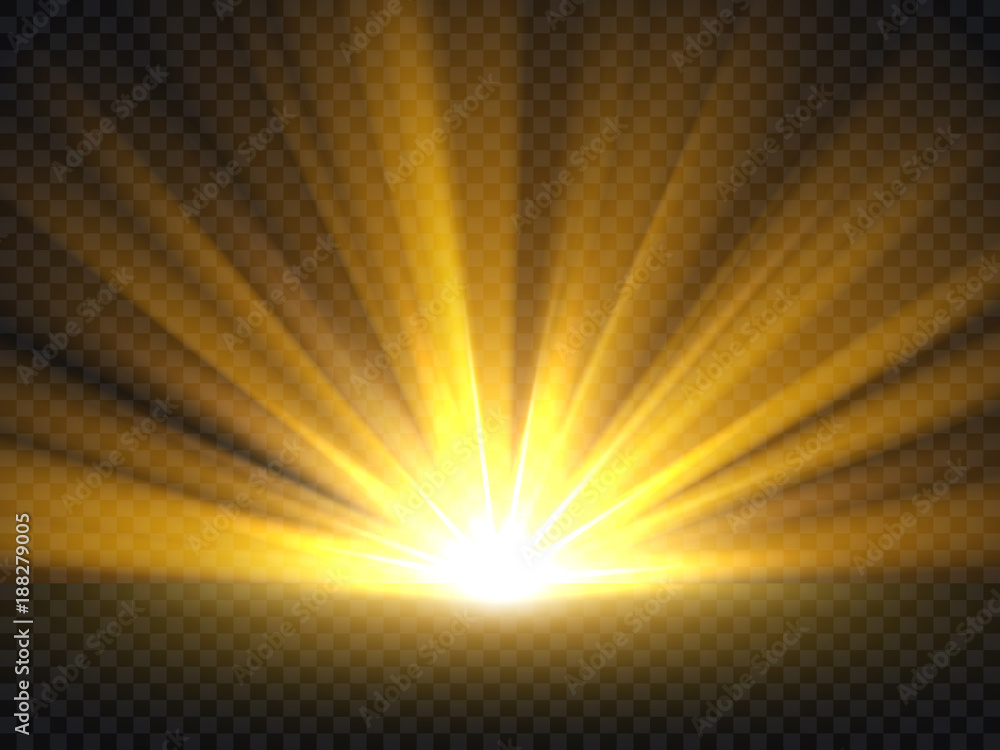 Wall mural abstract golden bright light. gold shine burst vector illustration isolated