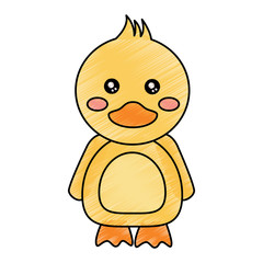 duck cute animal icon image vector illustration design  sketck style