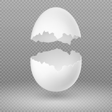 Opened white egg with broken shell isolated vector illustration