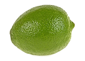 Lime isolated on a white background