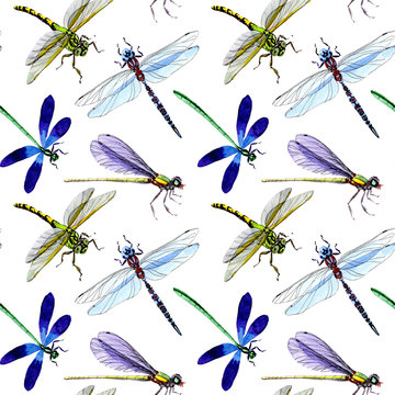 Exotic dragonfly wild insect pattern in a watercolor style. Full name of the insect: dragonfly. Aquarelle wild insect for background, texture, wrapper pattern or tattoo.