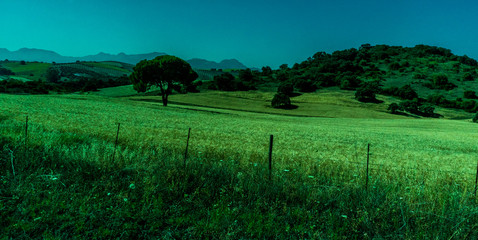 Greenery, Mountains, Farms and Fields on the outskirts of Ronda Spain, Europe