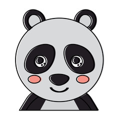 cute portrait panda bear animal baby vector illustration