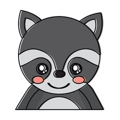 cute portrait raccoon animal baby vector illustration