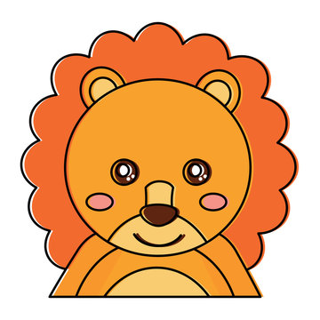 cute portrait lion animal baby vector illustration