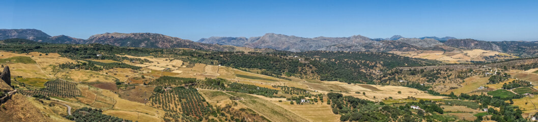 Fototapeta premium A gorge in the city of Ronda Spain, Europe